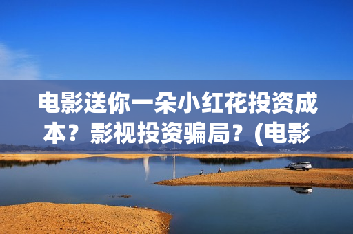 电影送你一朵小红花投资成本？影视投资骗局？(电影送你一朵小红花完整版免费观看)