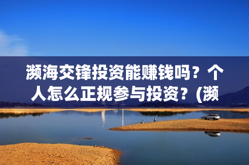 濒海交锋投资能赚钱吗？个人怎么正规参与投资？(濒海交锋投资方)