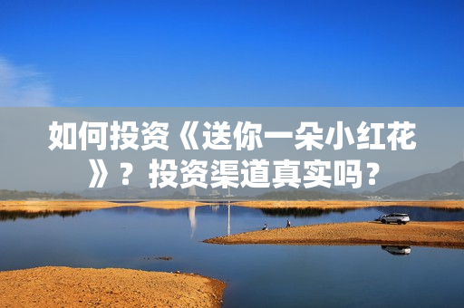 如何投资《送你一朵小红花》？投资渠道真实吗？