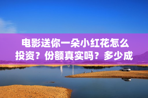  电影送你一朵小红花怎么投资？份额真实吗？多少成本？(电影送你一朵小花)