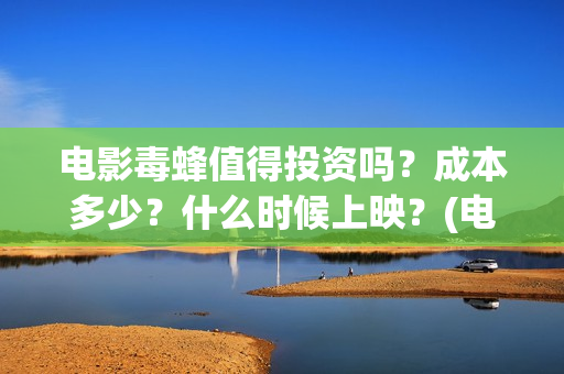 电影毒蜂值得投资吗？成本多少？什么时候上映？(电影毒蜂在拍摄中吗)