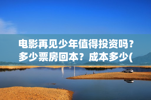 电影再见少年值得投资吗？多少票房回本？成本多少(再见少年演的啥)