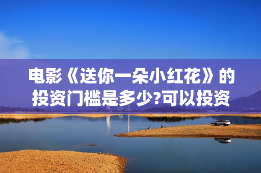 电影《送你一朵小红花》的投资门槛是多少?可以投资吗?(电影《送你一朵花》完整版)