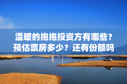 温暖的抱抱投资方有哪些？预估票房多少？还有份额吗？(温暖的抱抱 投资成本)