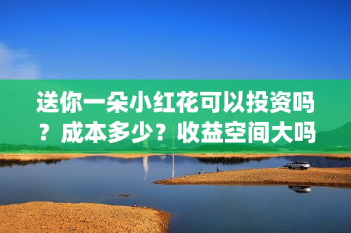 送你一朵小红花可以投资吗?成本多少?收益空间大吗?(送你一朵小红花 歌曲) 送你一朵小红花可以投资吗?成本多少?收益空间大吗?(送你一朵小红花 歌曲)
