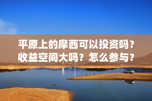 平原上的摩西可以投资吗？收益空间大吗？怎么参与？(平原上的摩西知乎)