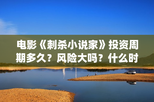 电影《刺杀小说家》投资周期多久？风险大吗？什么时候分红？(电影《刺杀小说家》)