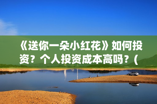 《送你一朵小红花》如何投资？个人投资成本高吗？(送你一朵小红花演员表)