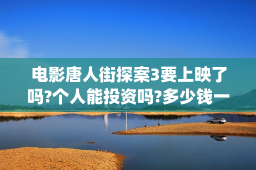 电影唐人街探案3要上映了吗?个人能投资吗?多少钱一份?(电影唐人街探案演员表)
