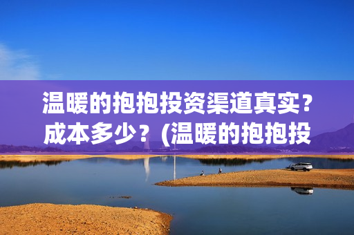 温暖的抱抱投资渠道真实？成本多少？(温暖的抱抱投资公司)