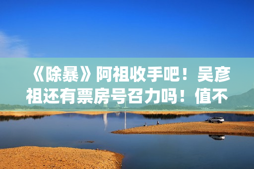 《除暴》阿祖收手吧！吴彦祖还有票房号召力吗！值不值得投资？(除暴原版)