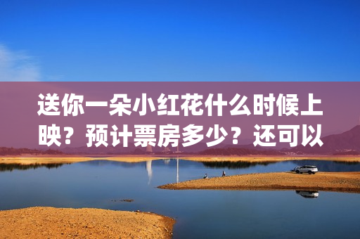 送你一朵小红花什么时候上映？预计票房多少？还可以投资吗？(送你一朵小红花歌词)