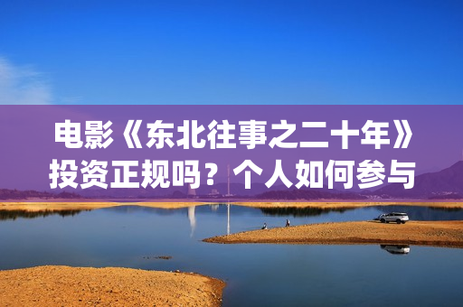电影《东北往事之二十年》投资正规吗？个人如何参与？资金安全吗？(电影东北往事之大时代免费观看)