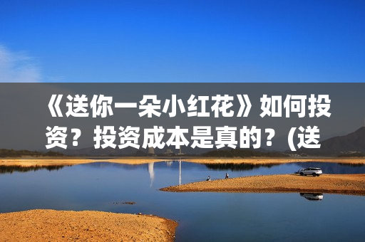 《送你一朵小红花》如何投资？投资成本是真的？(送你一朵小红花原唱)