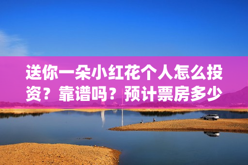 送你一朵小红花个人怎么投资？靠谱吗？预计票房多少？(送你一朵小红花原唱)