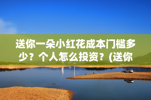 送你一朵小红花成本门槛多少？个人怎么投资？(送你一朵小红花简谱)