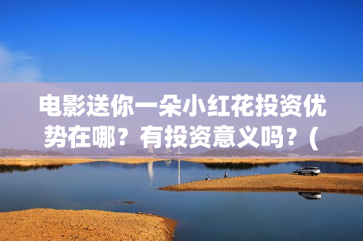 电影送你一朵小红花投资优势在哪？有投资意义吗？(电影送你一朵小红花观后感)
