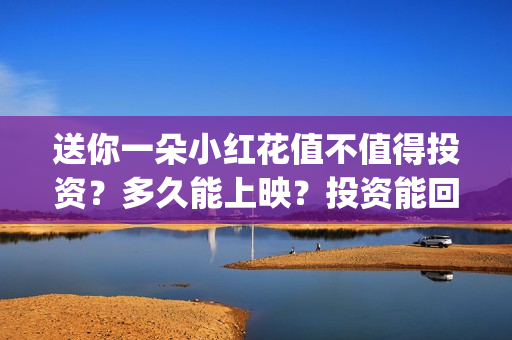 送你一朵小红花值不值得投资？多久能上映？投资能回本吗？(送你一朵小红花电影)