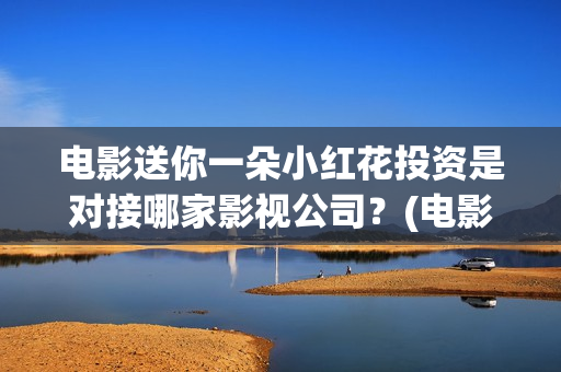 电影送你一朵小红花投资是对接哪家影视公司？(电影送你一朵小花)