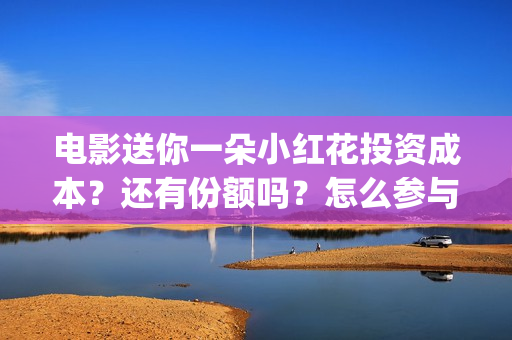 电影送你一朵小红花投资成本？还有份额吗？怎么参与？(电影送你一朵小红花的英文)