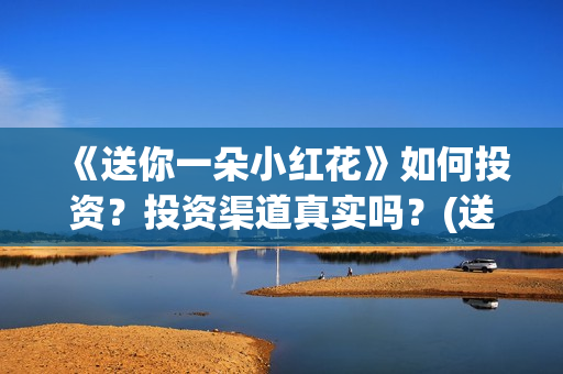 《送你一朵小红花》如何投资？投资渠道真实吗？(送你一朵小红花免费观看完整版)