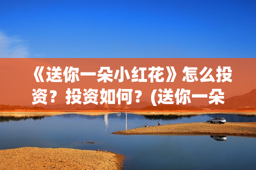 《送你一朵小红花》怎么投资？投资如何？(送你一朵小红花mp3下载)