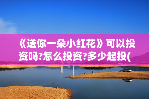 《送你一朵小红花》可以投资吗?怎么投资?多少起投(送你一朵小红花电影免费观看)