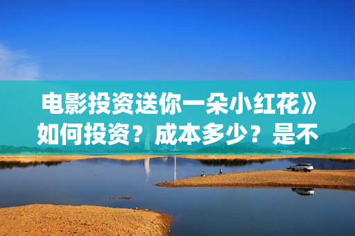 电影投资送你一朵小红花》如何投资？成本多少？是不是可以投资？(投资电影叫什么名字)