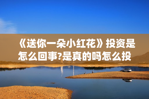 《送你一朵小红花》投资是怎么回事?是真的吗怎么投(送你一朵小红花电影)
