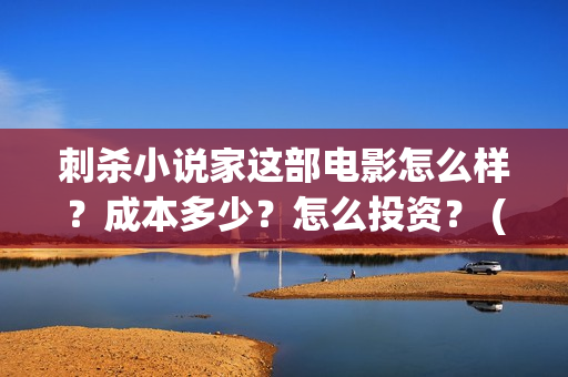 刺杀小说家这部电影怎么样？成本多少？怎么投资？ (刺杀小说家这部电影好看吗)
