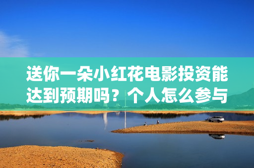 送你一朵小红花电影投资能达到预期吗？个人怎么参与(送你一朵小红花电影)