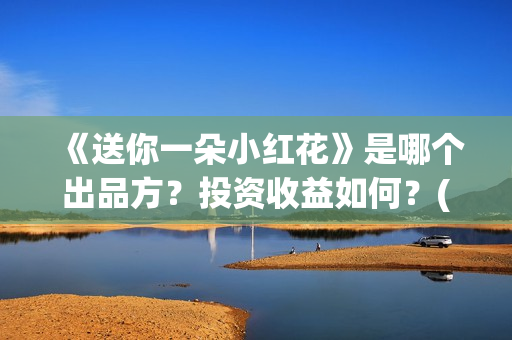 《送你一朵小红花》是哪个出品方？投资收益如何？(送你一朵小红花演员表)