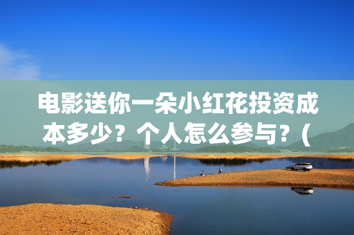 电影送你一朵小红花投资成本多少？个人怎么参与？(电影送你一朵小红花讲述的主题是抗癌吗)