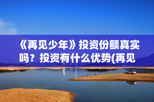 《再见少年》投资份额真实吗？投资有什么优势(再见少年全剧情)