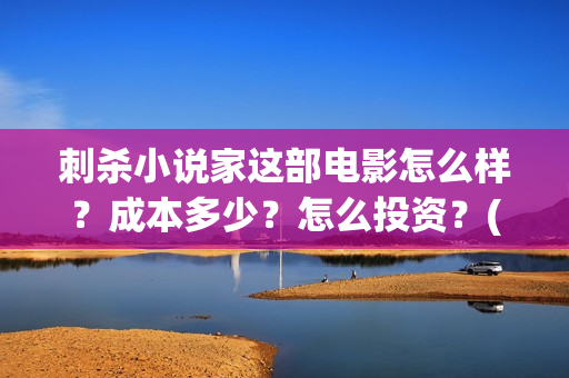 刺杀小说家这部电影怎么样？成本多少？怎么投资？(刺杀小说家说的是)