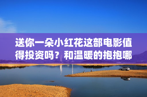送你一朵小红花这部电影值得投资吗？和温暖的抱抱哪个好？(送你一朵小红花原唱)
