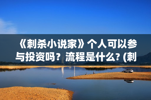 《刺杀小说家》个人可以参与投资吗？流程是什么? (刺杀小说家2)