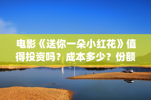 电影《送你一朵小红花》值得投资吗？成本多少？份额是真是假？(电影《送你一朵小红花》易烊千玺在)