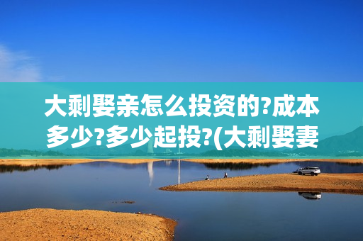 大剩娶亲怎么投资的?成本多少?多少起投?(大剩娶妻)
