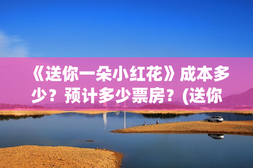 《送你一朵小红花》成本多少？预计多少票房？(送你一朵小红花电影免费观看)