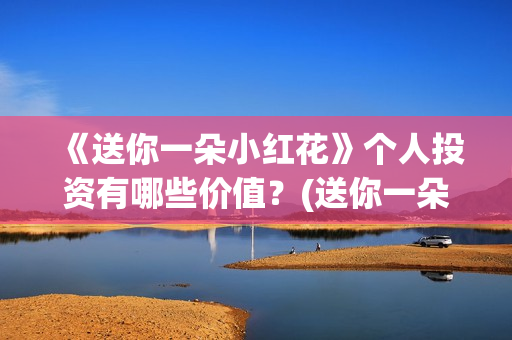 《送你一朵小红花》个人投资有哪些价值？(送你一朵小红花歌词表达什么意思)