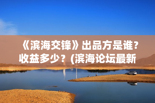 《滨海交锋》出品方是谁？收益多少？(滨海论坛最新消息)