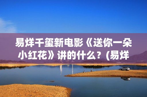 易烊千玺新电影《送你一朵小红花》讲的什么？(易烊千玺新电影2025年)