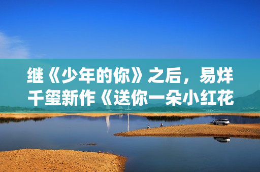 继《少年的你》之后，易烊千玺新作《送你一朵小红花》欢迎咨询(少年的你后续)
