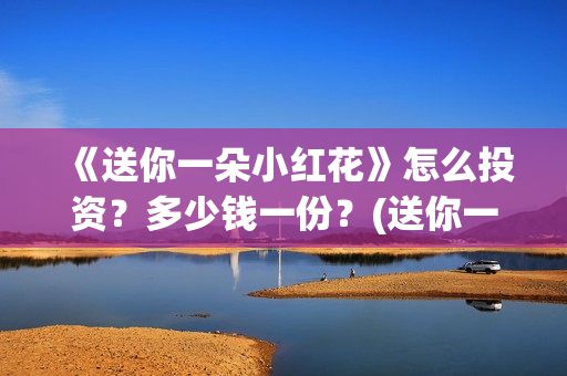 《送你一朵小红花》怎么投资？多少钱一份？(送你一朵小红花免费观看完整版)
