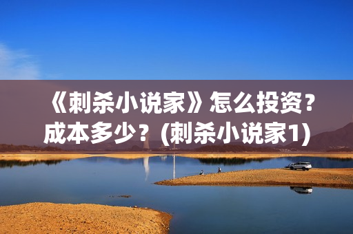《刺杀小说家》怎么投资？成本多少？(刺杀小说家1)