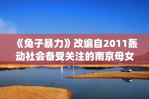 《兔子暴力》改编自2011轰动社会备受关注的南京母女绑架杀人案(兔子暴力原型故事结局)