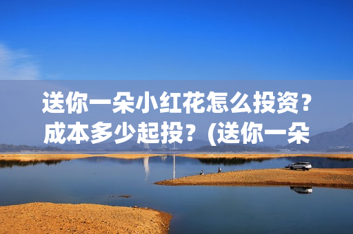 送你一朵小红花怎么投资？成本多少起投？(送你一朵小红花简谱)