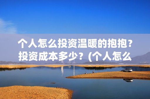 个人怎么投资温暖的抱抱？投资成本多少？(个人怎么投资温州银行)