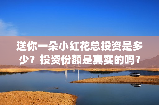 送你一朵小红花总投资是多少?投资份额是真实的吗?(送你一朵小红花原唱) 送你一朵小红花总投资是多少?投资份额是真实的吗?(送你一朵小红花原唱)